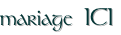 shapeimage_2_link_2